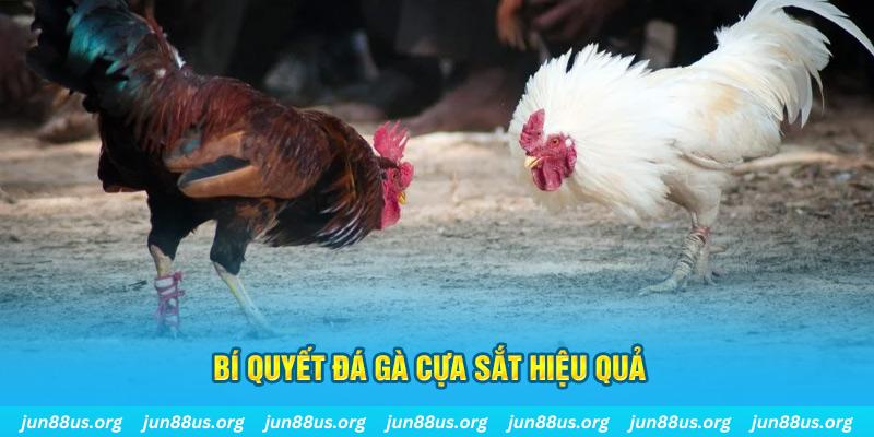 alo 789 xổ số miền bắc thứ ba hàng tuần