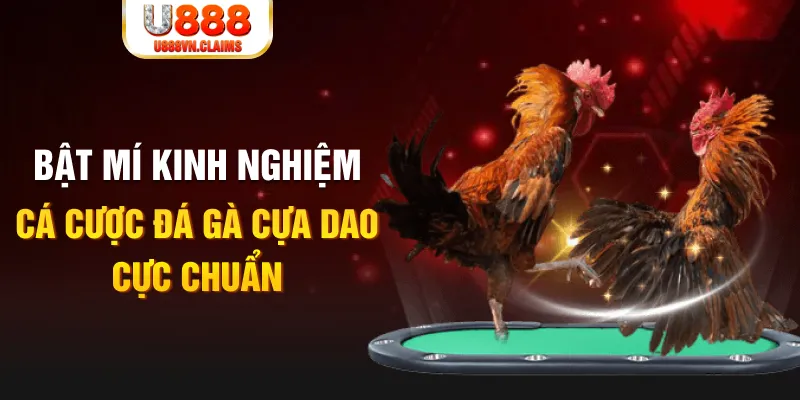 alo 789 casino hồ tràm có cho người việt vào không