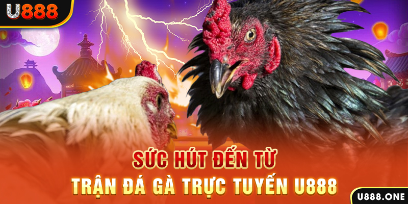 alo 789 đăng nhập poker 2024