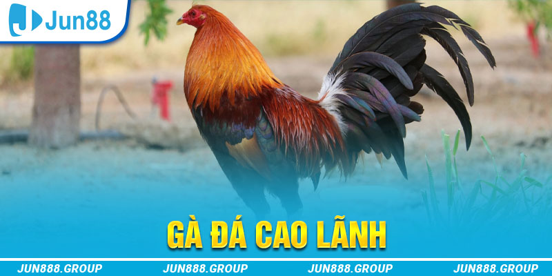 alo 789 tai game vua bai ve may tinh