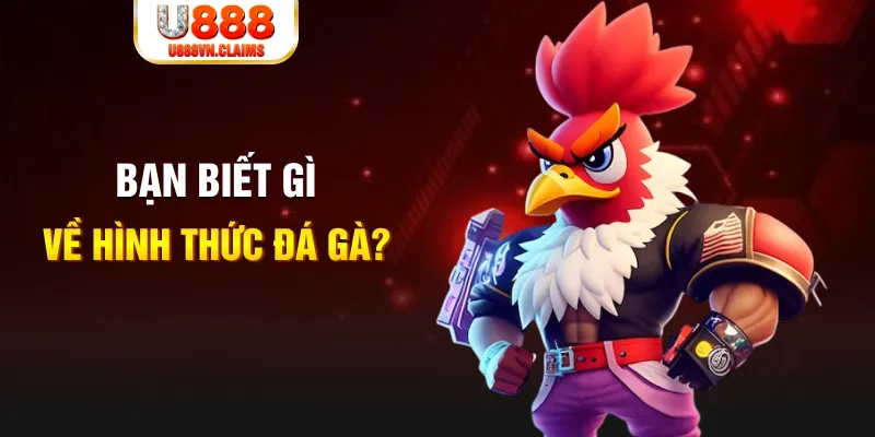 alo 789 đăng nhập liêng tặng tiền
