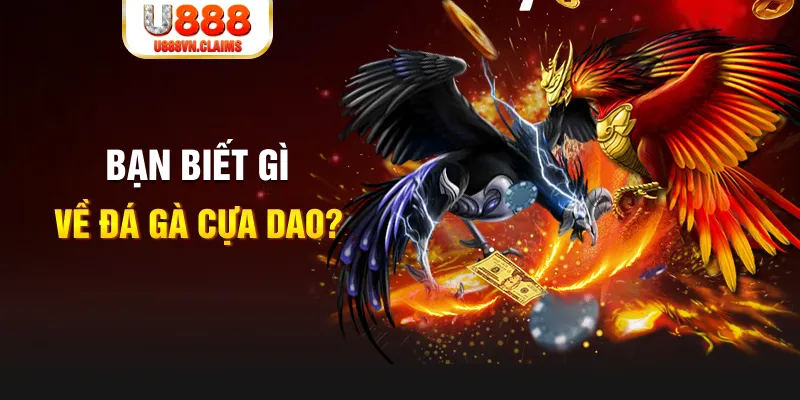 alo 789 xo so mien bac
