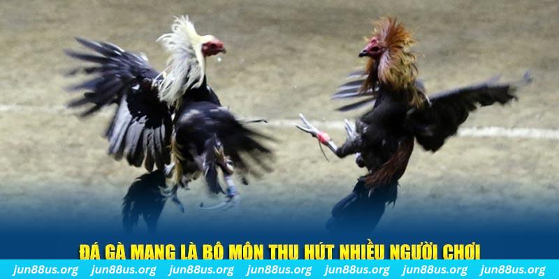 alo 789 đăng nhập sòng bạc số 1