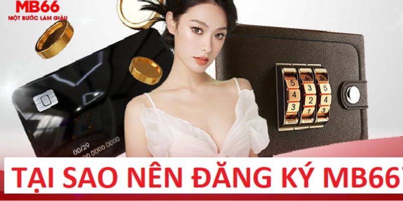 alo 789 trực tiếp gà chọi c1