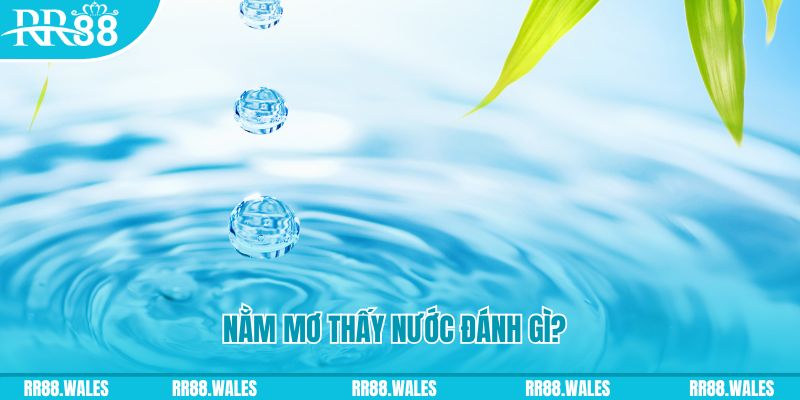 alo 789 xổ số trực tiếp miền bắc