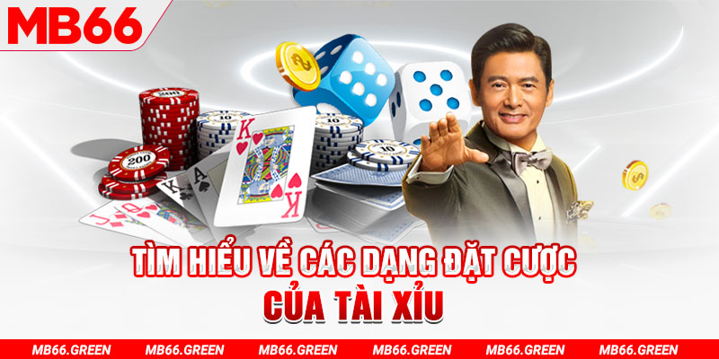alo 789 what is a casino loyalty program