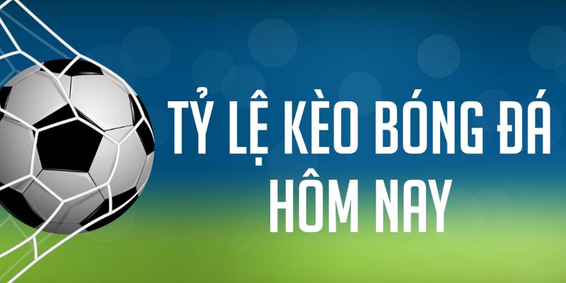 alo 789 đăng nhập phỏm