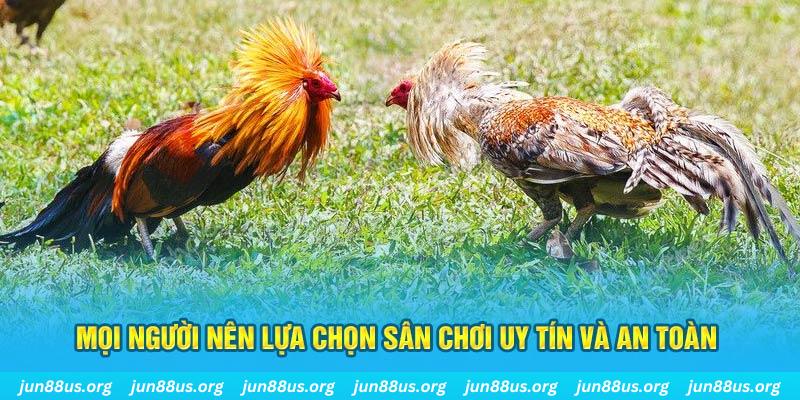 alo 789 đăng nhập poker 2025