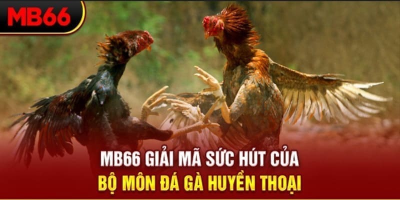 alo 789 xổ số đài bắc