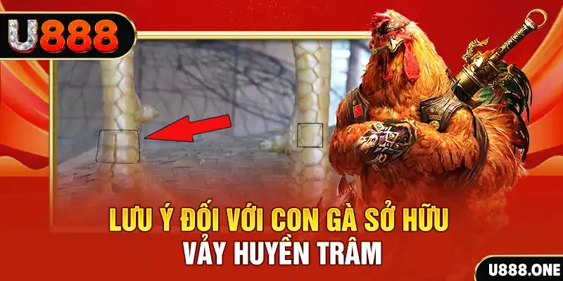 alo 789 tải game đánh bài tiến lên miền nam về máy tính