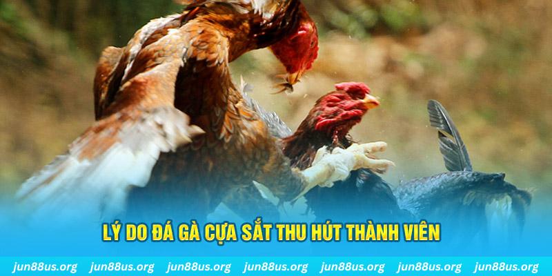 alo 789 nổ hũ ăn bao nhiêu