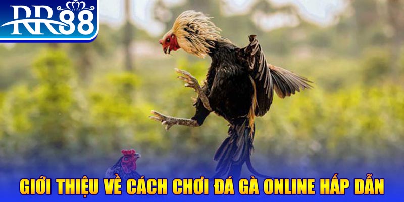 alo 789 bắn cá h5 là gì