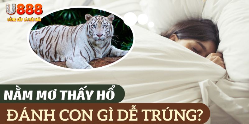 alo 789 nohu .mx nổ hủ là gì