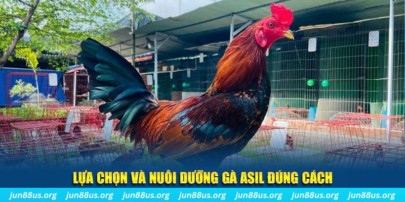 alo 789 nổ hũ thần tài là gì