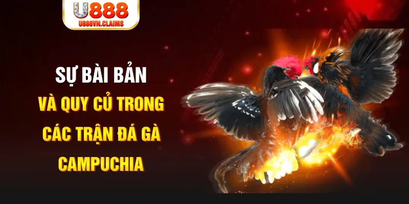 alo 789 game xếp bài trên máy tính