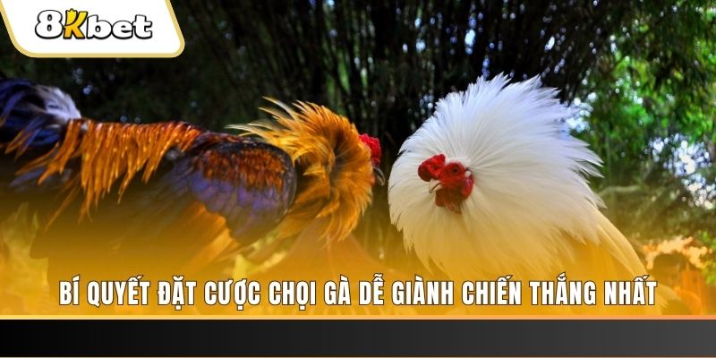 alo 789 nổ hũ chơi như thế nào