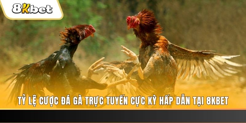 alo 789 xổ số miền bắc chủ nhật