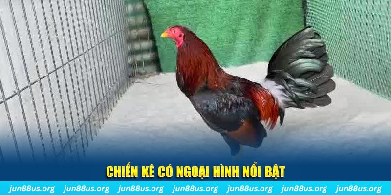 alo 789 qq88 bắn cá
