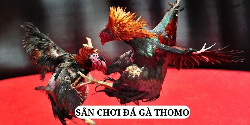 alo 789 quay nổ hũ là gì