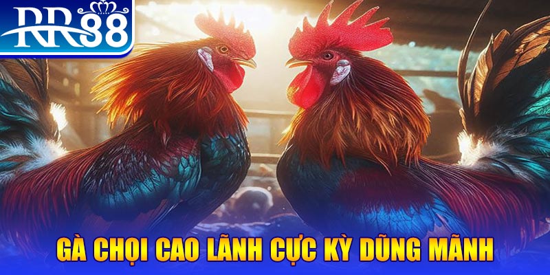 alo 789 đăng nhập poker live